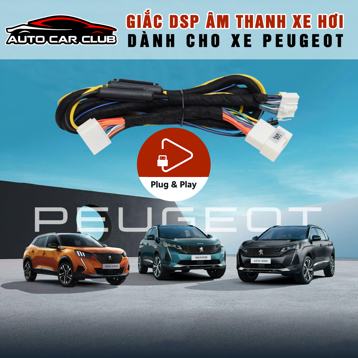 Giac DSP