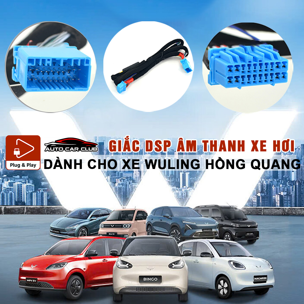 Giac DSP