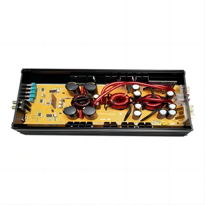 Amplifier Danty DT-500.1D - Mono Class D 500W Denmark