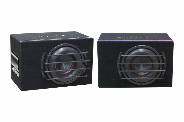Subwoofer Danty DT-508D - 10 inch