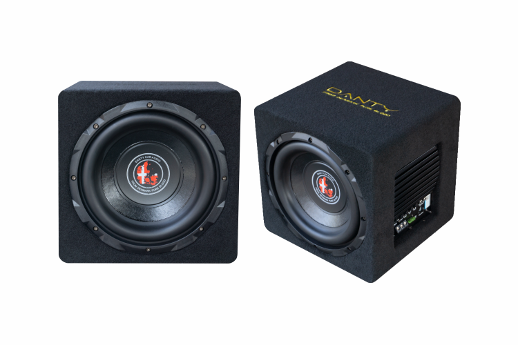 Subwoofer Danty RD-M10S - 10 inch