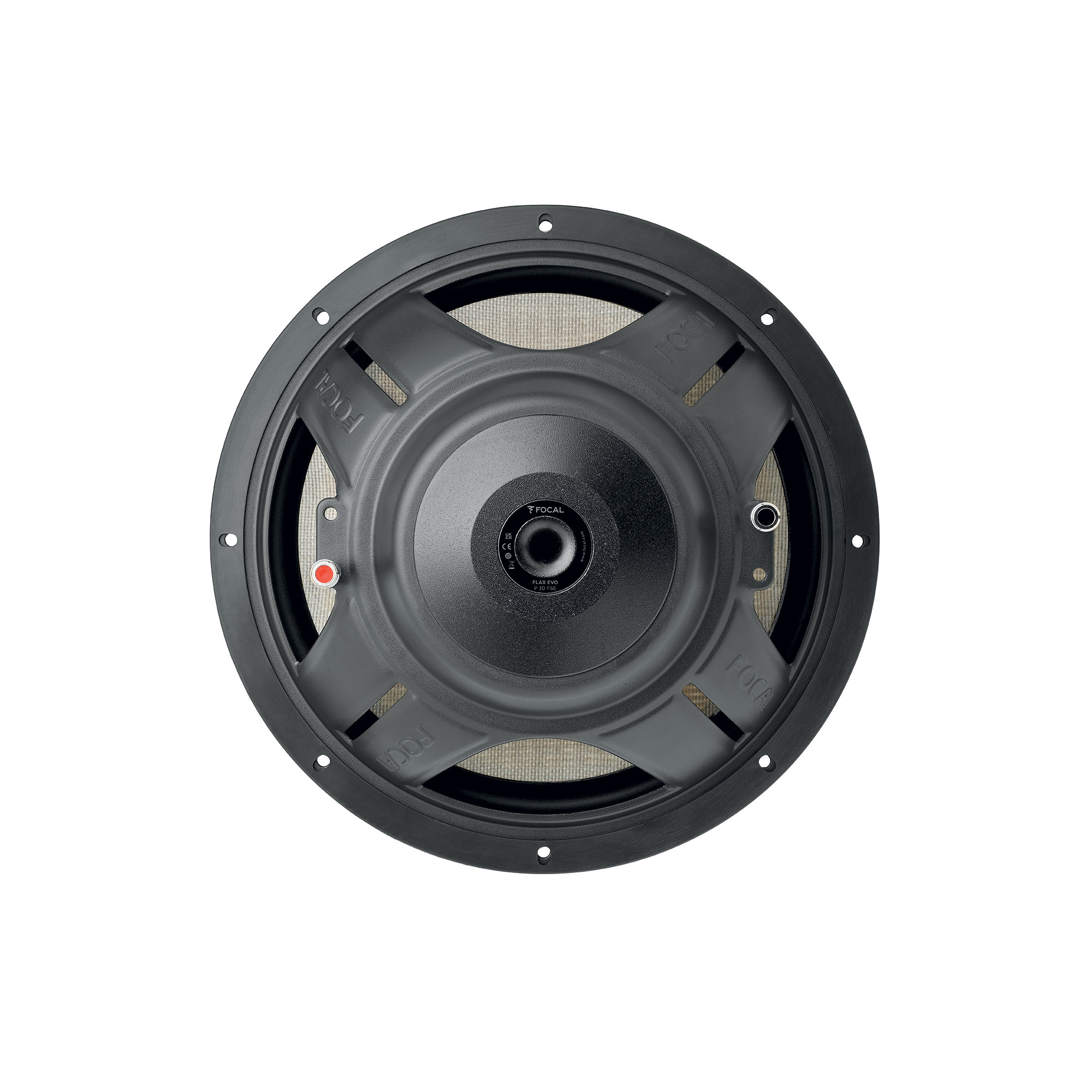 Focal P 30 FSE