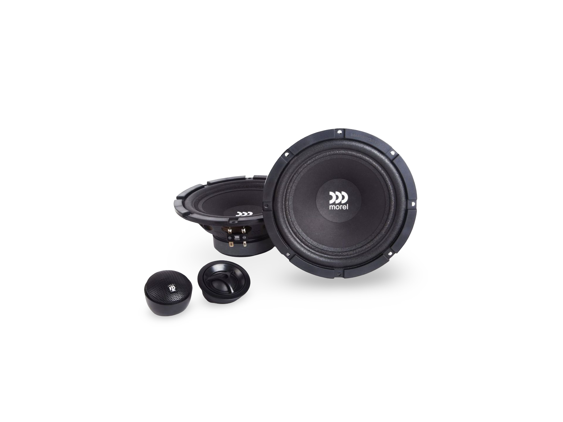 Morel Maximo 6 MKIII