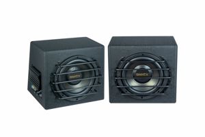 Subwoofer Danty DT-110E - 10 inch