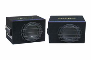 Subwoofer Danty DT-306 - 10 inch